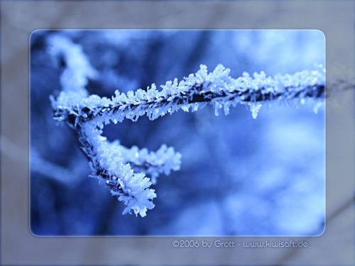 blue frost 1 by Kiwisaft.de